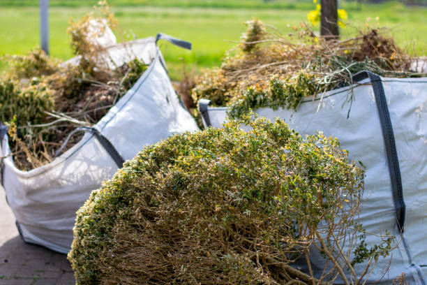 Best Property Management Cleanouts  in Taunton, MA
